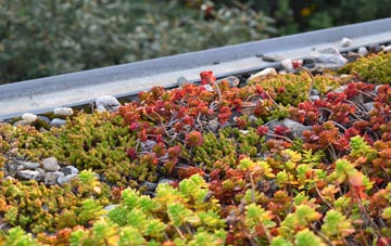 the cost of Egypt green roof installation
