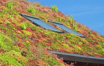 Egypt living roof systems