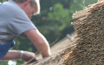 professional Egypt thatchers